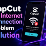 CapCut No Internet Connection Problem Solution